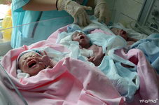 tripleti_227px
