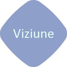 viziune