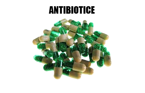 ce_sunt_antibioticele_03