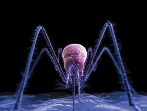 malaria_2